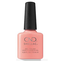 Shellac - Rule Breaker